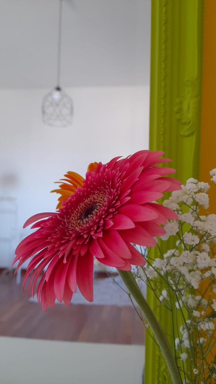בארי Sole Amare Guest House מראה חיצוני תמונה